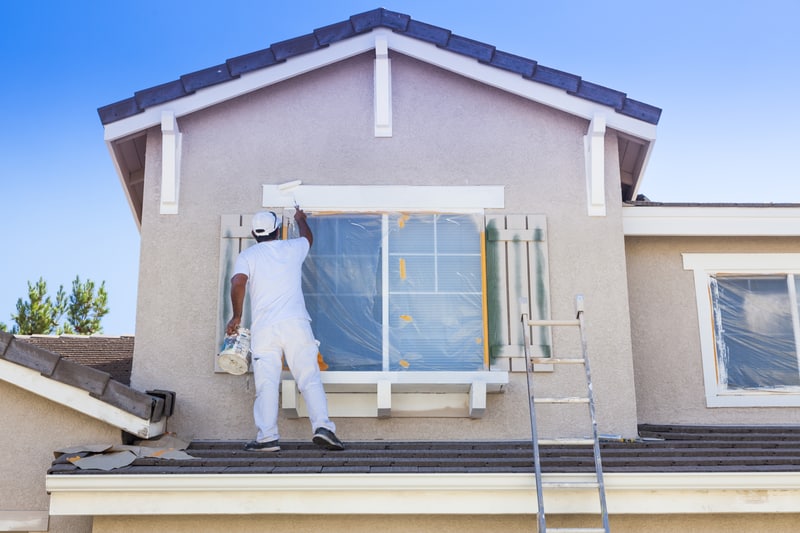 Facts about paint and design